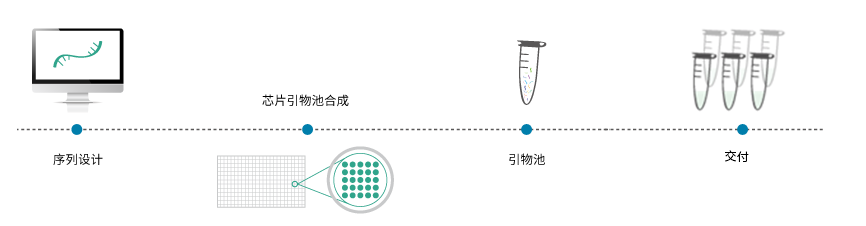 引物池工作流程_泓迅生物