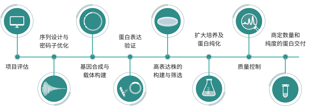 重組蛋白表達服務流程