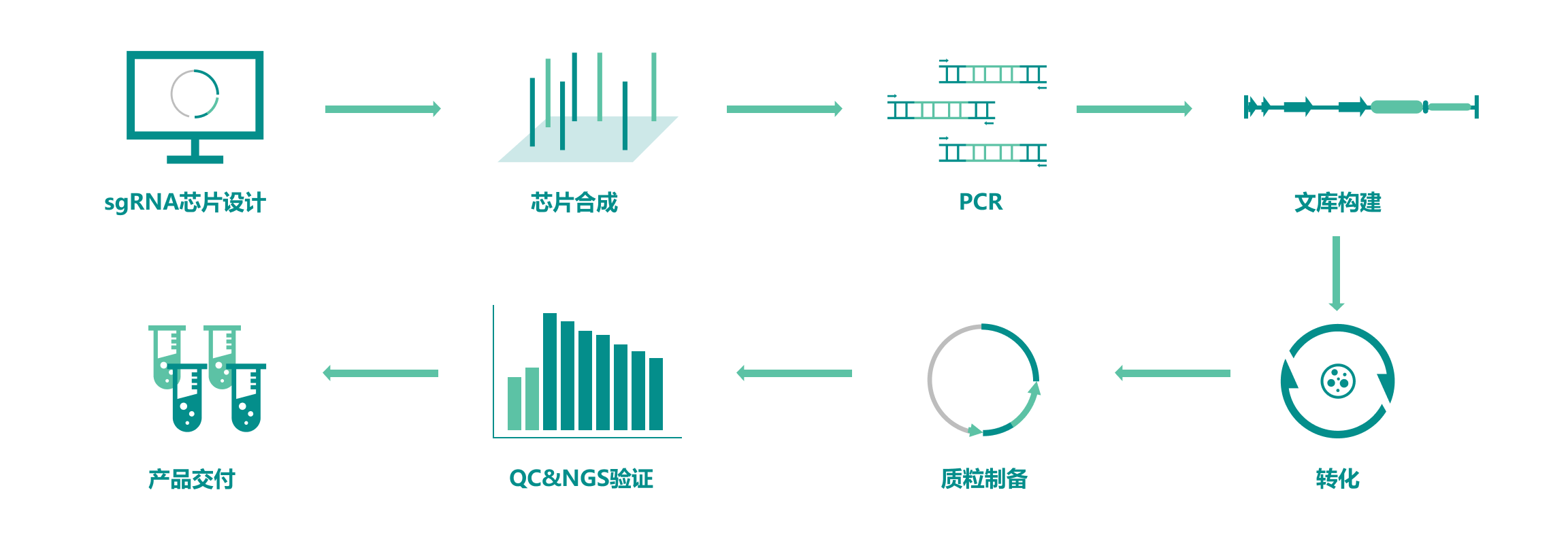 CRISPR基因編輯篩選服務(wù)流程